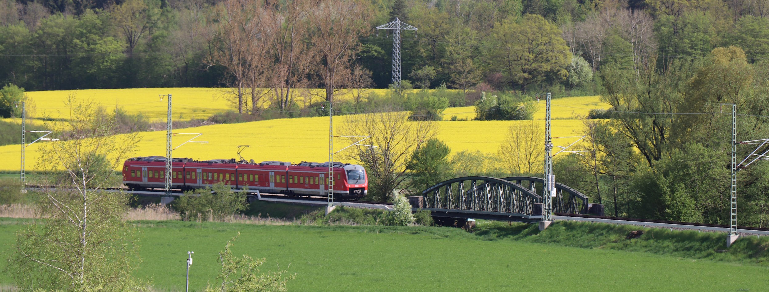 Darauf fahr ich ab, Ammertalbahn vor Rapsfeld